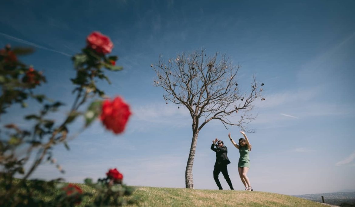 Bajo el Árbol