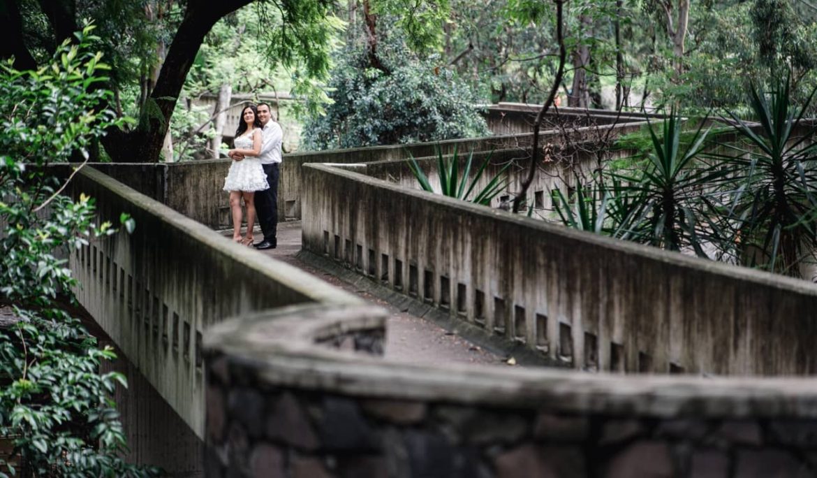 Paseo en Bosque