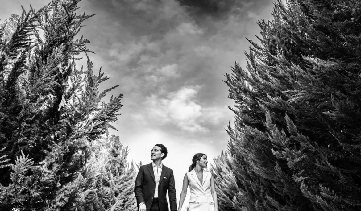 Bosque - Blanco & Negro